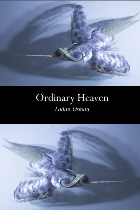 Ordinary Heaven by Ladan Osman