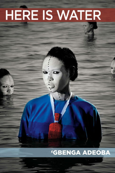 Here is Water by 'Gbenga Adeoba